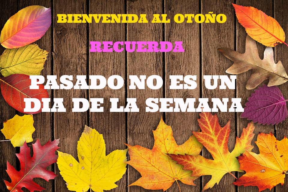 autumn-941192_960_720-otono