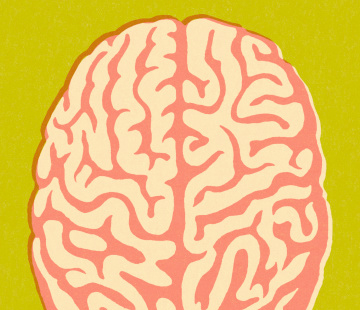 neuroscience_large-hp